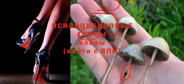 МДПВ Болотное