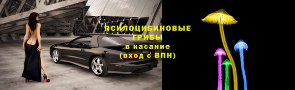 не бодяженный Кукмор