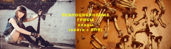 не бодяженный Кукмор