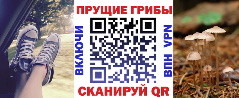 где можно купить наркотик Медногорск Псилоцибиновые грибы прущие грибы