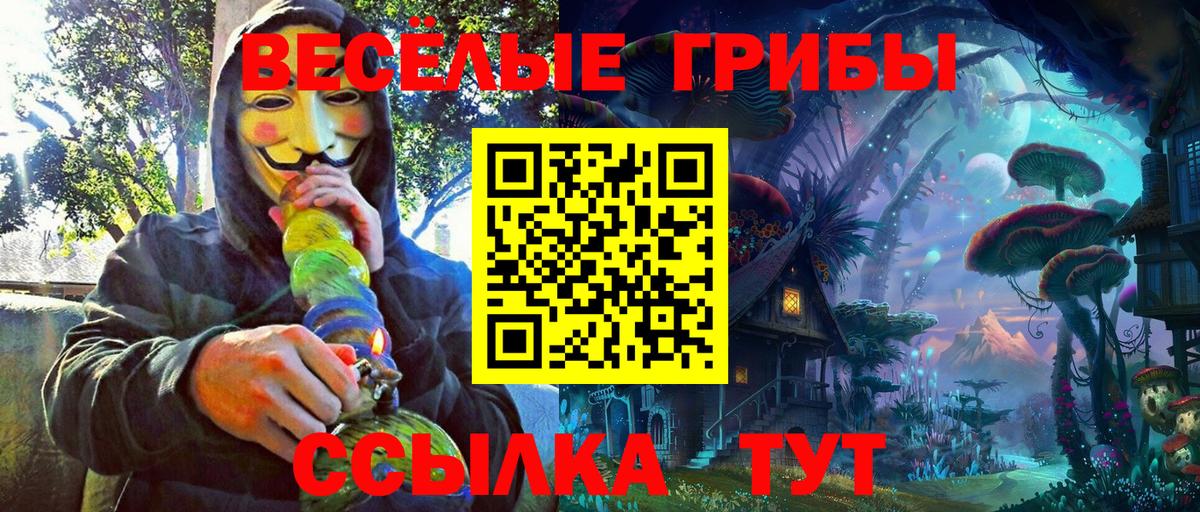 Медногорск  Псилоцибиновые грибы ЛСД  Вход с VPN  Псилоцибиновые грибы Cubensis 